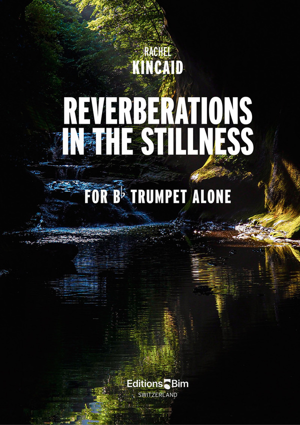 Reverberations in the Stillness<br>